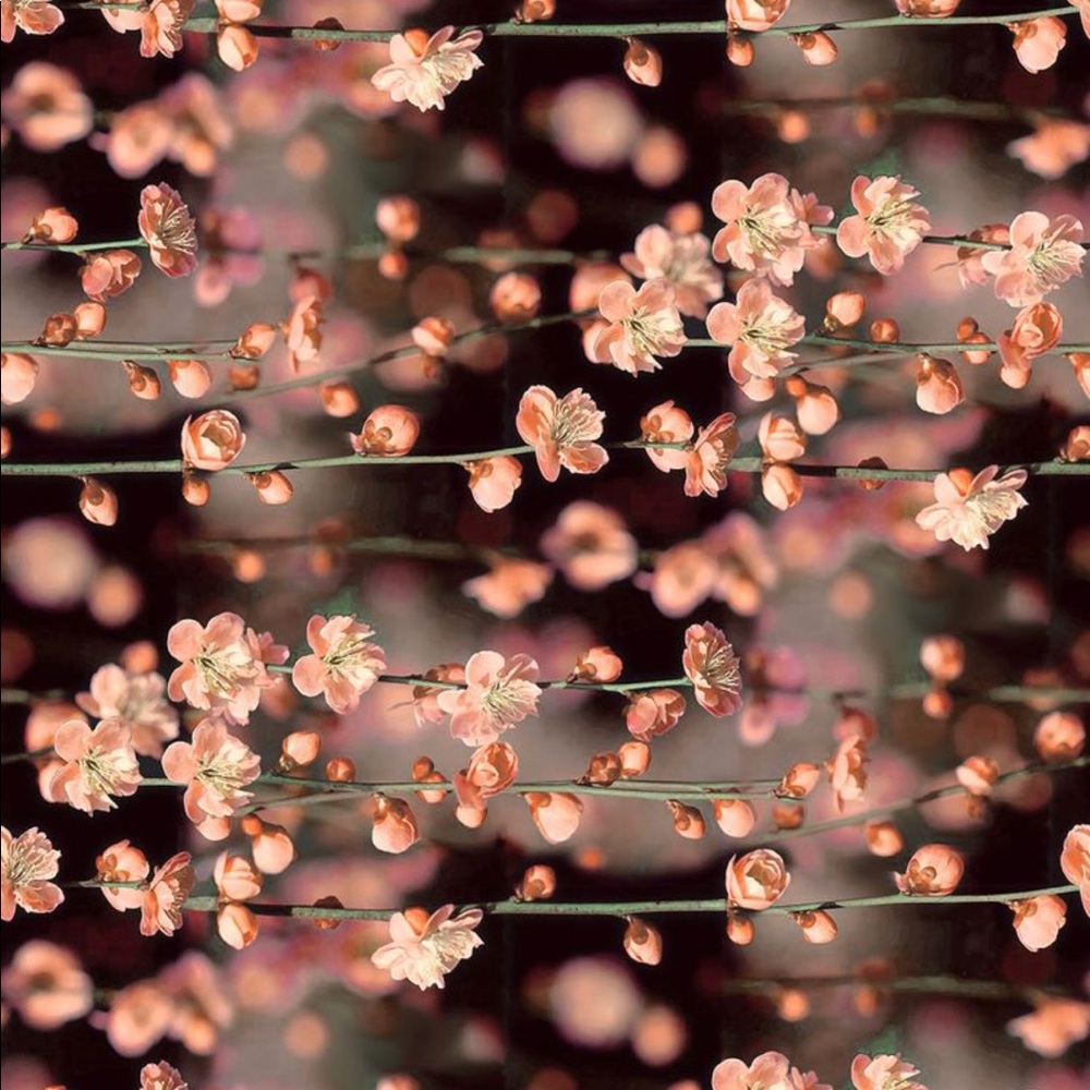 Meet your Posher, Miranda